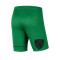 Pantalón corto Nike Park III Knit 1ER EQUIPO CD Denia
