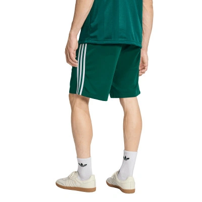 Firebird Shorts