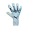 Puma Future Pro Hybrid Handschuhe