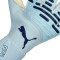 Puma Future Pro Hybrid Handschuhe