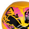 Balón Puma Big Cat