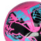 Balón Puma Big Cat