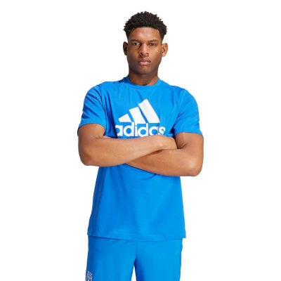 T-Shirt Camisola Italy FIGC