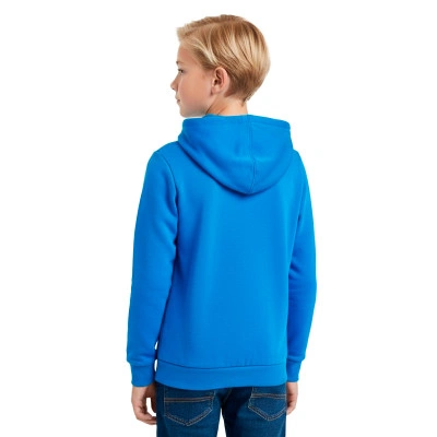 Sudadera Fanswear Selección Italia