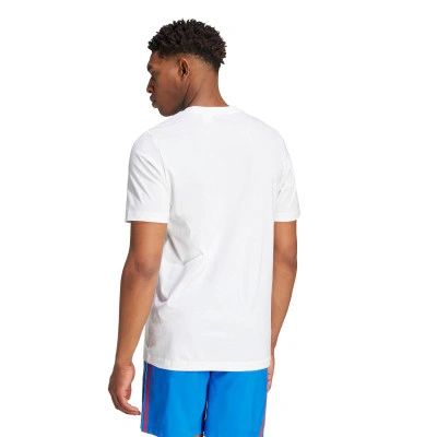 Camiseta Camiseta Italy FIGC