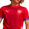 Camiseta Puma Serbia Home Jersey Replica