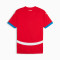 Camiseta Puma Serbia Home Jersey Replica