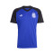 adidas Argentina Pre-Match Away World Cup 2026 T-Shirt
