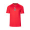 Playera Nike RCD Mallorca Fanswear Dri-Fit Academy