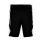 Jordan Team 25 Shorts