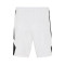 Jordan Team 25 Shorts