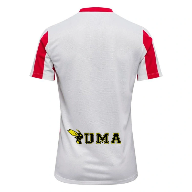 camiseta-nike-striped-division-v-mc-c.d.-acero-white-university-red-white-1