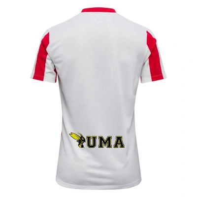 Camiseta 1º Equipación Striped Division V m/c C.D. Acero