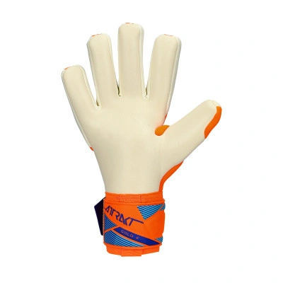 Reusch Guantes Attrakt Gold X Nc — photo 4
