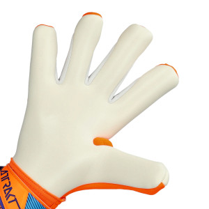 PALME-1