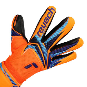 DORSO-2