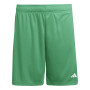 Entrada 26-Team Green-White