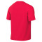 Jersey Nike Park VIII