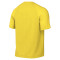 Camiseta Nike Park VIII