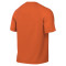Jersey Nike Park VIII