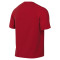 Nike Kids Park VIII  Jersey