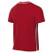 Nike Park 26 Jersey