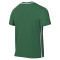 Camiseta Nike Park 26 Niño