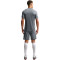 Nike Academy 25 Shorts