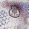 Camiseta New Balance Fc Porto Pre-Match 2026-2027