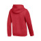 Nike Kids Hooded Cotton Park 26 Sweatshirt