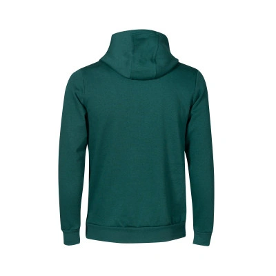adidas Sudadera Winter Real Zaragoza Niño — photo 3