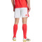 Short adidas Benfica Primer Uniforme 2026-2027