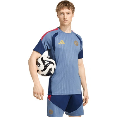 Playera FC Bayern Training 2026-2027