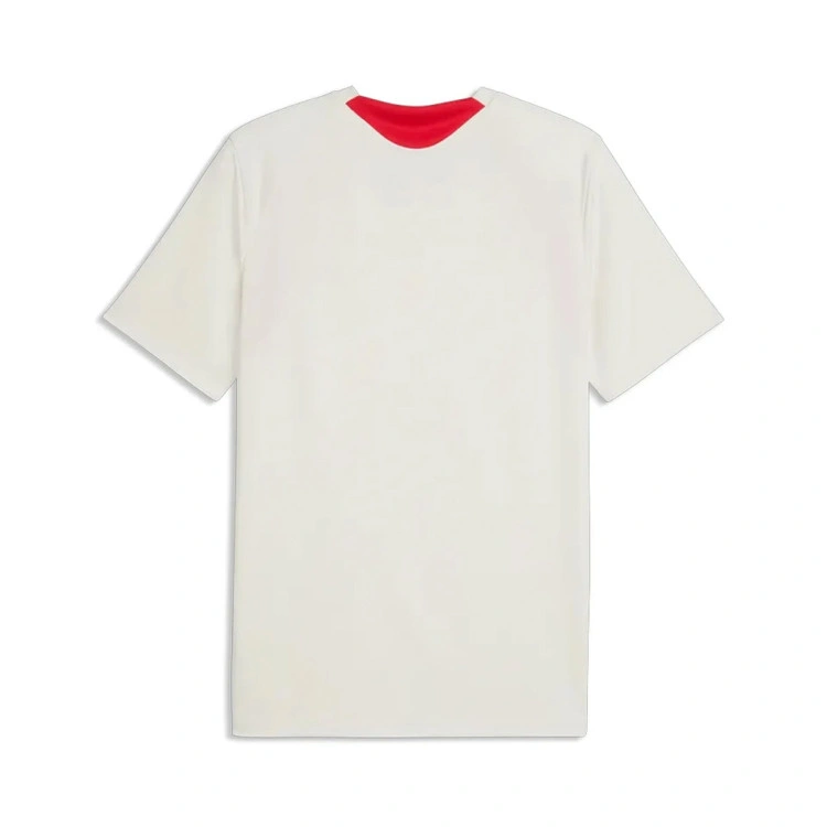 camiseta-puma-ac-milan-training-2026-2027-vapor-gray-ucl-4