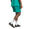 Pantalón corto adidas Alemania EQT Fanswear Mundial 2026