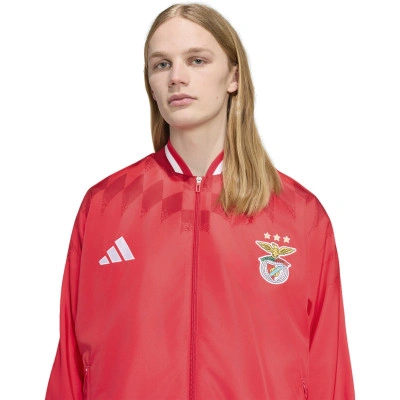 adidas Chaqueta SL Benfica Pre-Match — foto 3