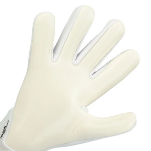 PALME-1