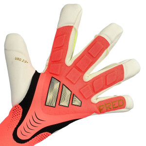 DORSO-2