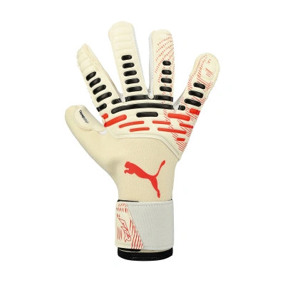 Future Pro Hybrid Handschuhe