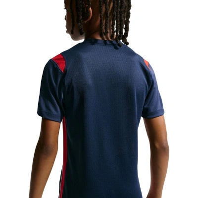 Nike Camiseta Psg Training Niño — photo 5