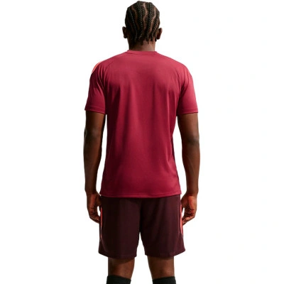 Camiseta Nike Strike Dri-Fit