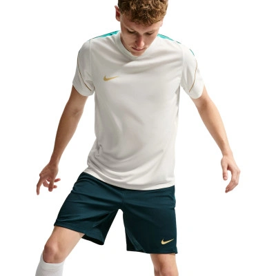 Dri-Fit Strike T-Shirt