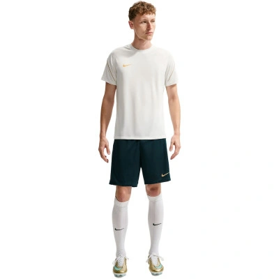Dri-Fit Strike T-Shirt
