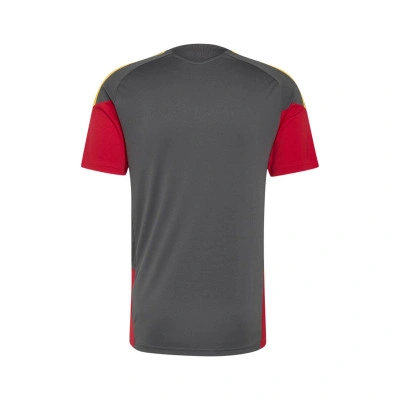 adidas Camiseta As Roma Training — photo 7