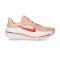 Nike Women Winflo 12 Running Shoes