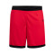 Pantalón corto Nike Team 25