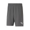 Calções Puma teamRISE Milan Academy World