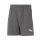 Calções Puma teamRISE Kid Milan Academy World
