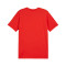 T-Shirt Puma teamGOAL Cotton Milan Academy World