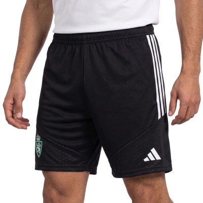 Training Torwart Real Zaragoza 26-27 Shorts